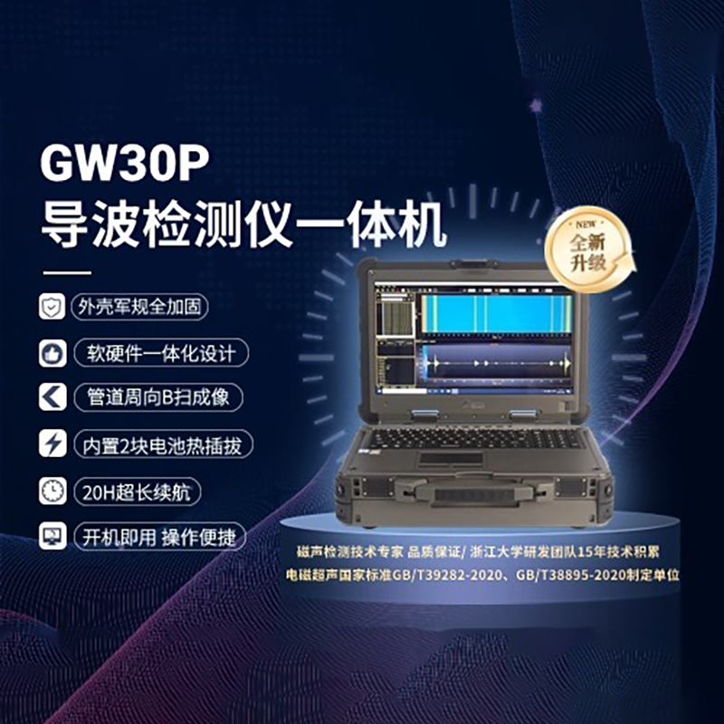 GW30P导波检测一体机